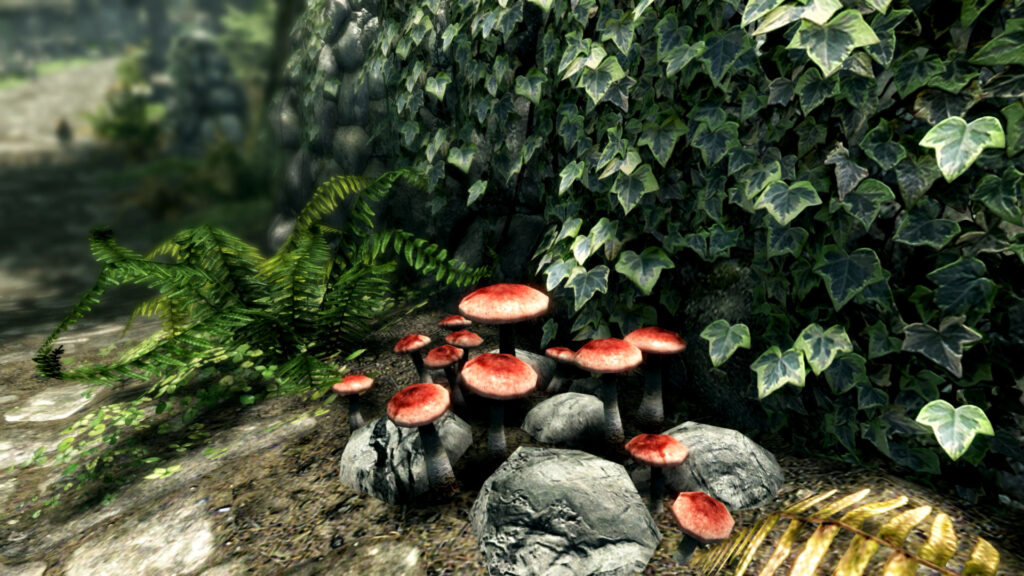 《上古卷轴5:周年纪念版/上古卷轴5:天际10周年重制版/The Elder Scrolls V: Skyrim Special Edition》V1.6.1179.0.8|官方繁体中文|支持键鼠.手柄|容量30GB插图3 《上古卷轴5:周年纪念版/上古卷轴5:天际10周年重制版/The Elder Scrolls V: Skyrim Special Edition》V1.6.1179.0.8|官方繁体中文|支持键鼠.手柄|容量30GB插图3