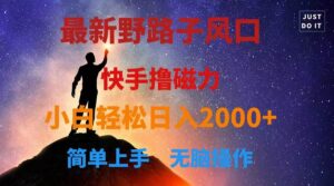 最新风口！快手撸磁力，野路子，小白无脑操作日入2000+-山水资源站