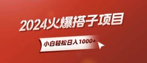小白轻松上手，日入1000+，搭子项目-山水资源站