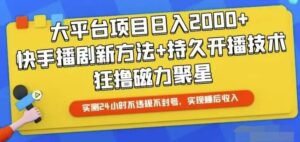快手24小时无人直播，真正实现睡后收益-山水资源站