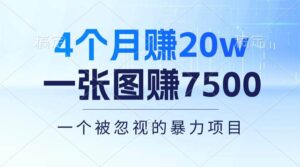 4个月赚20万！一张图赚7500！多种变现方式，一个被忽视的暴力项目-山水资源站