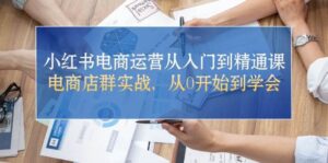 小红书电商运营从入门到精通课，电商店群实战，从0开始到学会-山水资源站