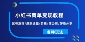 小红书商单变现教程：起号涨粉/爆款选题/剪辑/蒲公英/好物分享/各种玩法-山水资源站