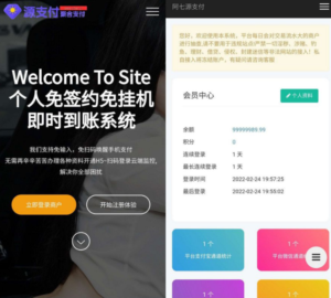 源支付3.1版本全开源版+店员监控软件+手机监控APP源码-山水资源站