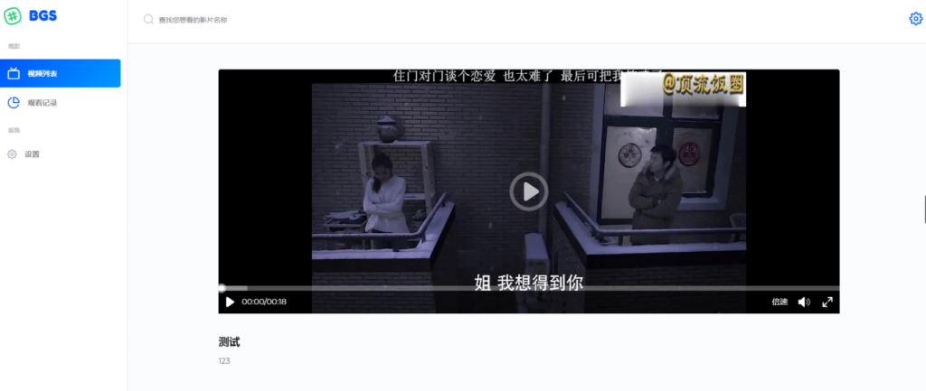 BGS本地局域网视频系统源码插图