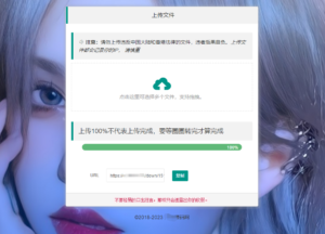 最新临时文件上传存储分享系统 临时文件网盘系统源码-山水资源站