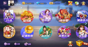 【金币房卡】最新更新首发网狐旗舰大联盟组件+非常完美-山水资源站