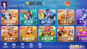 网狐系列三网通大富豪-山水资源站