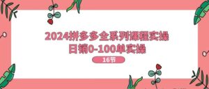 2024拼多多全系列课程实操，日销0-100单实操【16节课】-山水资源站
