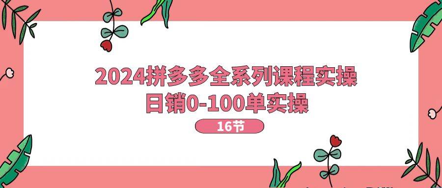 2024拼多多全系列课程实操,日销0-100单实操【16节课】插图 2024拼多多全系列课程实操,日销0-100单实操【16节课】插图