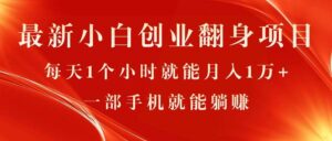 最新小白创业翻身项目，每天1个小时就能月入1万+，0门槛-山水资源站