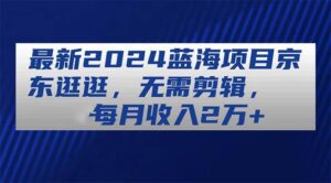 最新2024蓝海项目京东逛逛，无需剪辑，每月收入2万+-山水资源站
