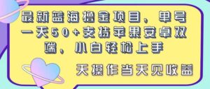 最新蓝海撸金项目，单号一天50+， 支持苹果安卓双端，小白轻松上手-山水资源站