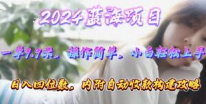 年轻群体的蓝海市场，1单9.9元，操作简单，小白轻松上手，日入四位数-山水资源站