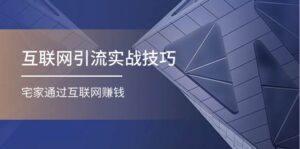 互联网引流实操技巧(适合微商，吸引宝妈)，宅家通过互联网赚钱（17节）-山水资源站