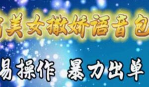 车载美女撒娇语音包，执行就出单，月入3000＋，小白看完课程就能马上实操-山水资源站
