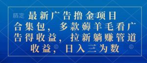 最新广告撸金项目合集包，多款薅羊毛看广告收益 拉新管道收益，日入三位数-山水资源站