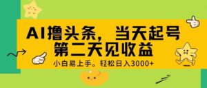 AI撸头条，轻松日入3000+，当天起号，第二天见收益。-山水资源站