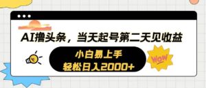 AI撸头条，当天起号，第二天见收益。轻松日入2000+-山水资源站