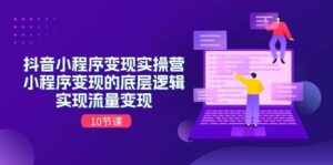 抖音小程序变现实操营，小程序变现的底层逻辑，实现流量变现（10节课）-山水资源站