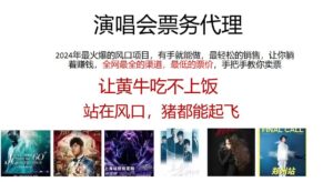 演唱会票务代理，2024年最火爆风口项目，全网最低的票价，小白一分钟上手-山水资源站
