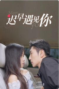 【微短剧】迟早遇见你 (2024)【已更最新】4K[都市 爱情][王楠楠 王子铭]-山水资源站