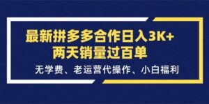 最新拼多多合作日入3K+两天销量过百单，无学费、老运营代操作、小白福利-山水资源站