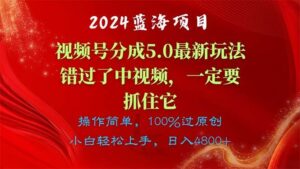 2024蓝海项目，视频号分成计划5.0最新玩法-山水资源站