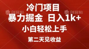 冷门项目，靠一款软件定制头像引流 日入1000+小白轻松上手，第二天见收益-山水资源站