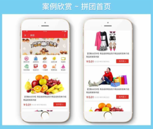 购物拼团小程序拼团商城商业源码-山水资源站