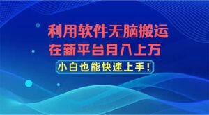 利用软件无脑搬运，在新平台月入上万，小白也能快速上手-山水资源站
