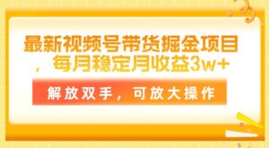 最新视频号带货掘金项目，每月稳定月收益3w+，解放双手，可放大操作-山水资源站