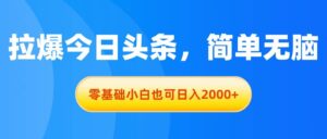 拉爆今日头条，简单无脑，零基础小白也可日入2000+-山水资源站