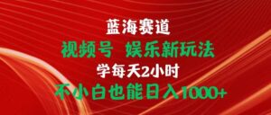 蓝海赛道视频号 娱乐新玩法每天2小时小白也能日入1000+-山水资源站