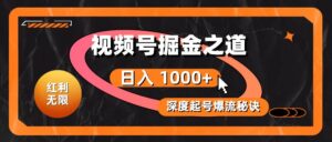 红利无限！视频号掘金之道，深度解析起号爆流秘诀，轻松实现日入 1000+！-山水资源站