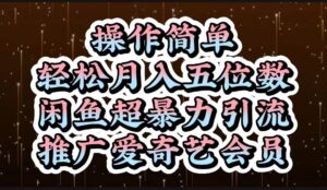 操作简单，轻松月入5位数，闲鱼超暴力引流推广爱奇艺会员-山水资源站