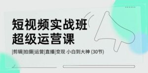 短视频实战班-超级运营课，|剪辑|拍摄|运营|直播|变现 小白到大神 (30节)-山水资源站