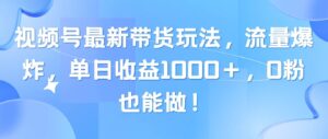 视频号最新带货玩法，流量爆炸，单日收益1000＋，0粉也能做！-山水资源站