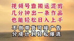 深层揭秘视频号项目，是如何靠搬运混剪做到日入过千上万的，带你轻松爆流变现-山水资源站