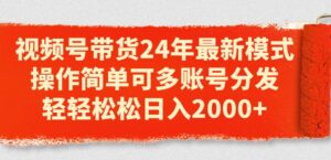 视频号带货24年最新模式，操作简单可多账号分发，轻轻松松日入2000+-山水资源站