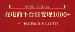 简单操作1个月赚了3万！在电商平台日变现1000+！一个被忽视的暴力风口-山水资源站