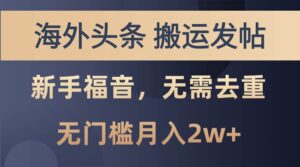 海外头条搬运发帖，新手福音，甚至无需去重，无门槛月入2w+-山水资源站