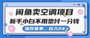 闲鱼卖空调项目，新手小白一分钱都不用垫付，操作极其简单，日入2K+-山水资源站