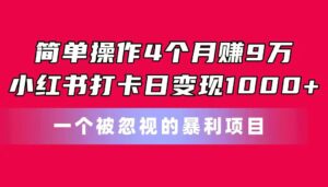 简单操作4个月赚9万！小红书打卡日变现1000+！一个被忽视的暴力项目-山水资源站