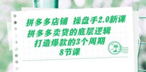 拼多多店铺 操盘手2.0新课，拼多多卖货的底层逻辑，打造爆款的3个周期-8节-山水资源站