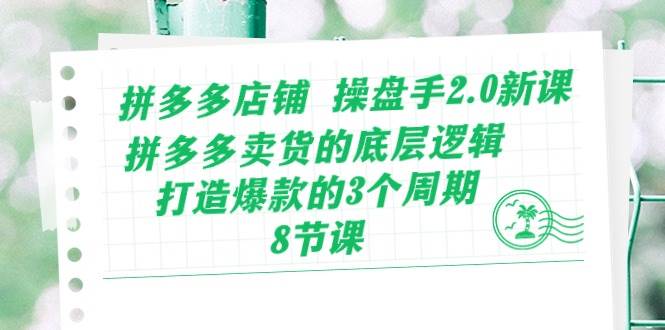 拼多多店铺 操盘手2.0新课,拼多多卖货的底层逻辑,打造爆款的3个周期-8节插图 拼多多店铺 操盘手2.0新课,拼多多卖货的底层逻辑,打造爆款的3个周期-8节插图