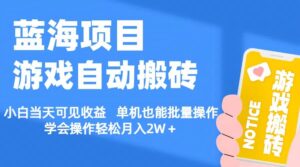 【蓝海项目】游戏自动搬砖 小白当天可见收益 单机也能批量操作-山水资源站