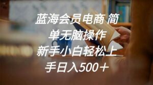 蓝海会员电商 简单无脑操作 新手小白轻松上手日入500＋-山水资源站