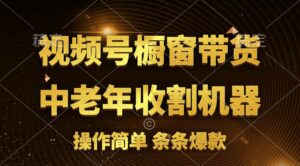 [你的孩子成功取得高位]视频号最火爆赛道，橱窗带货，流量分成计划，条条原创爆款-山水资源站