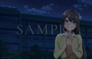 【动画电影】青春猪头少年不会梦到红书包女孩 (2024)【日语中字】[日本 剧情 动画]家人的羁绊，新思春期症候群的征兆──-山水资源站